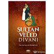 Sultan Veled Divan Demavend Yaynlar