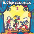 ndigo ocuklar 2