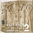 Sultans Of Secrets Rythm Of Colours 2 Bnyamin Olguncan