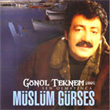 Gnl Teknem 2006 Sen Olmaynca Mslm Grses