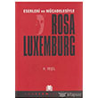 Eserleri ve Mcadelesiyle Rosa Luxemburg Dnm Yaynlar