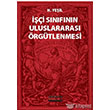 i Snfnn Uluslararas rgtlenmesi Dnm Yaynlar