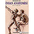 Sanatlar in nsan Anatomisi Remzi Kitabevi