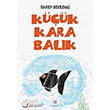 Kk Kara Balk Nilfer Yaynlar