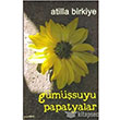 Gmsuyu Papatyalar Plan B Yaynlar