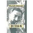 Divan Dn Yaynclk