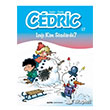 Cedric 17 I Kim Sndrd? Alfa Yaynlar