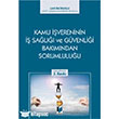 Kamu vereninin  Sal ve Gvenlii Bakmndan Sorumluluu Adalet Yaynevi