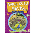 Tavus Kuu Mavi Allah`n Cemil smini reniyor Gen Tima Yaynlar