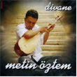 Divane Metin ztem
