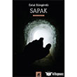 Sapak Ayrnt Yaynlar