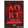 Aort 160. Kilometre Yaynevi