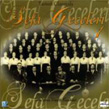 Sefa Geceleri 1