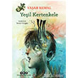 Yeil Kertenkele Yap Kredi Yaynlar