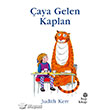 aya Gelen Kaplan Hep Kitap