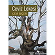 Ceviz Lekesi Karina Yaynevi