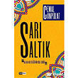 Sar Saltk Siyah Beyaz Yaynlar