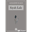 Siyah Lale Arkada Yaynclk