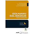 Ceza Hukuku zel Hkmler Pratik almalar Sekin Yaynevi