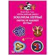 Eitim Kartlar Serisi 5 Solunum Sistemi Destek ve Hareket Sistemi Bright Brain Home