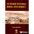 Ne Demek stanbul Bebek Niye Bebek ODT Yaynclk