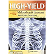 HIGH YIELD Makroskopik Anatomi Palme Yaynevi