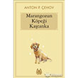 Marangozun Kpei Katanka Arkada Yaynlar