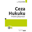 Ceza Hukuku Pratik almalar Sekin Yaynevi