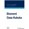 Ekonomi Ceza Hukuku Sekin Yaynevi