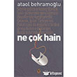 Ne ok Hain Tekin Yaynevi