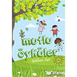 Mutlu ykler kinci Adam Yaynlar