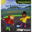 Doann Dzeni Su Birikintileri Neden Yok Oluyor Teleskop Popler Bilim