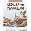 Kediler ve Yavrular lk Sorular ve Cevaplarla Almidilli Yaynlar