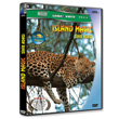 Island Magic Sihir Adas
