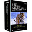 Life Of Mammals Memeliler Dnyas