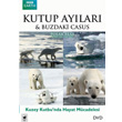 Polar Bear Spy On The Ice Kutup Aylar Buzdaki Casus