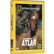 National Geographic Atlar Sadk Dostlarmz