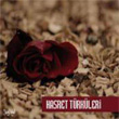 Hasret Trkleri