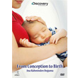 Discovery Channel From Conception To Birth Ana Rahminden Douma