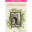Antikac Dkkan Kutup Yldz Yaynlar
