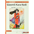 Gizemli Kara Kedi Kk Ev Yaynlar