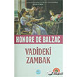 Vadideki Zambak Mavi at Yaynlar