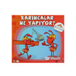 Karncalar Ne Yapyor? Kuzey Yaynlar