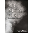 Bir Nefes Gibi Karina Yaynevi