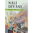 Nali Divan Kesit Yaynlar