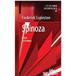 Spinoza dea Yaynlar