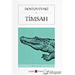 Timsah Karbon Kitaplar