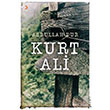 Kurt Ali Cinius Yaynlar