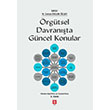 rgtsel Davranta Gncel Konular Ekin Yaynlar