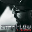 Gayr Mehur Cashflow